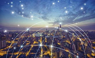 高中畢業學物聯網，信息技術咨詢服務中的新機遇