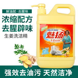 大桶洗潔精家庭裝 冷水去油，安全潔凈，批發(fā)更實(shí)惠
